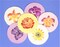 Exotic Flowers Cookie Stencil Set: Orchid, Iris, Lily | C738 by Designer Stencils | Cookie Decorating Tools | Baking Stencils for Royal Icing, Airbrush, Dusting Powder | Reusable Plastic Food Grade Stencil for Cookies | Easy to Use & Clean Stencil